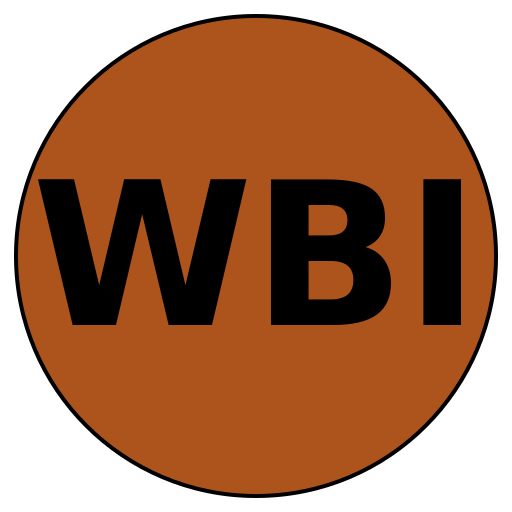 WedBeauty Insights